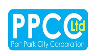 Digital Vision Cameroun