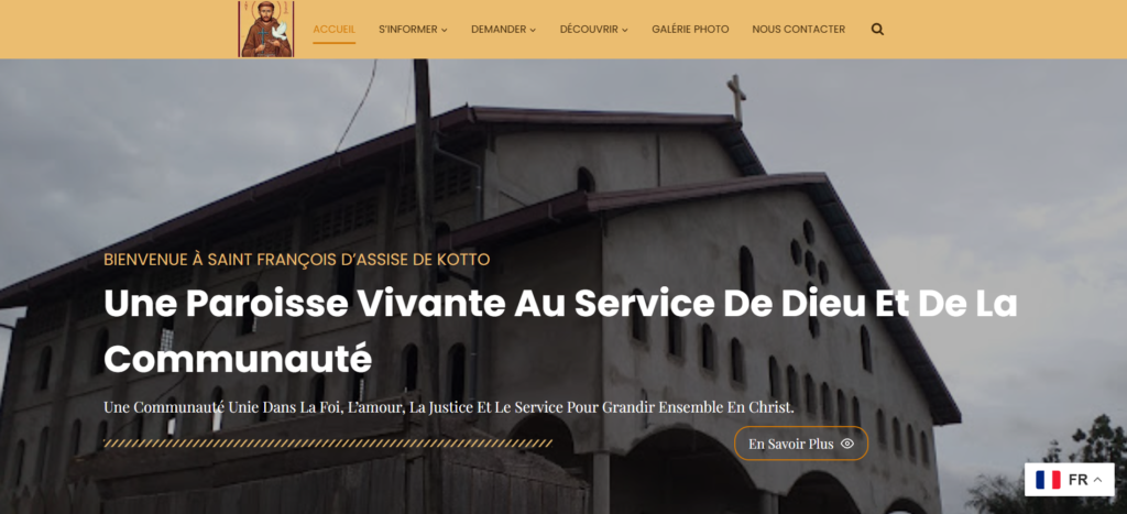 Digital Vision Cameroun Portfolio